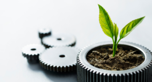 Potted sprouting plant in gear shaped planter