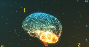 Multi-colored brain
